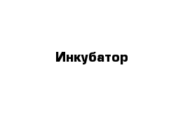 Инкубатор